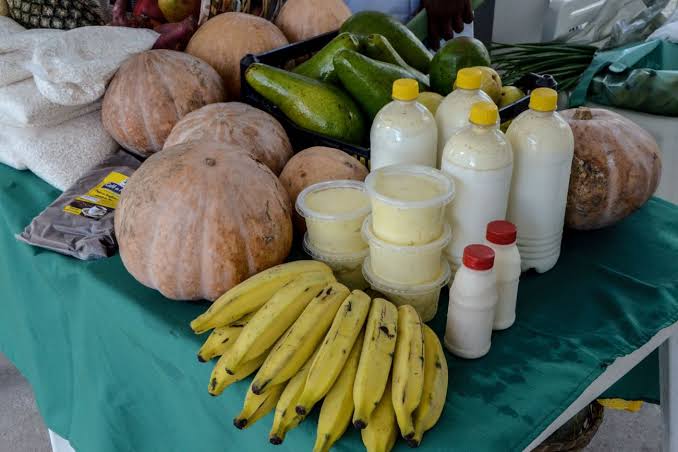 Pará apresenta planejamento para enfrentar a insegurança alimentar