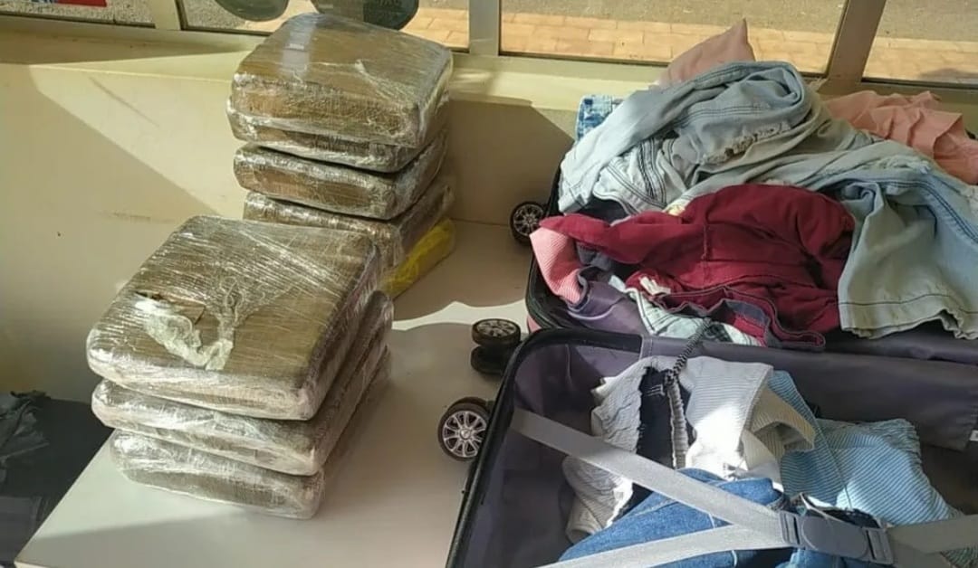 PRF apreende 12 quilos de maconha em ônibus com destino a Marabá