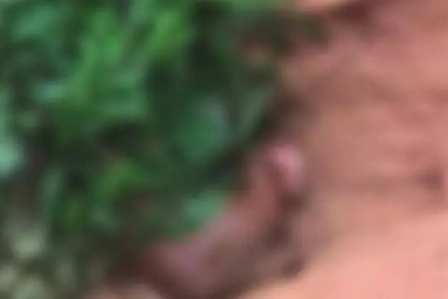 Corpo de mulher é encontrado em lixão no interior do Pará