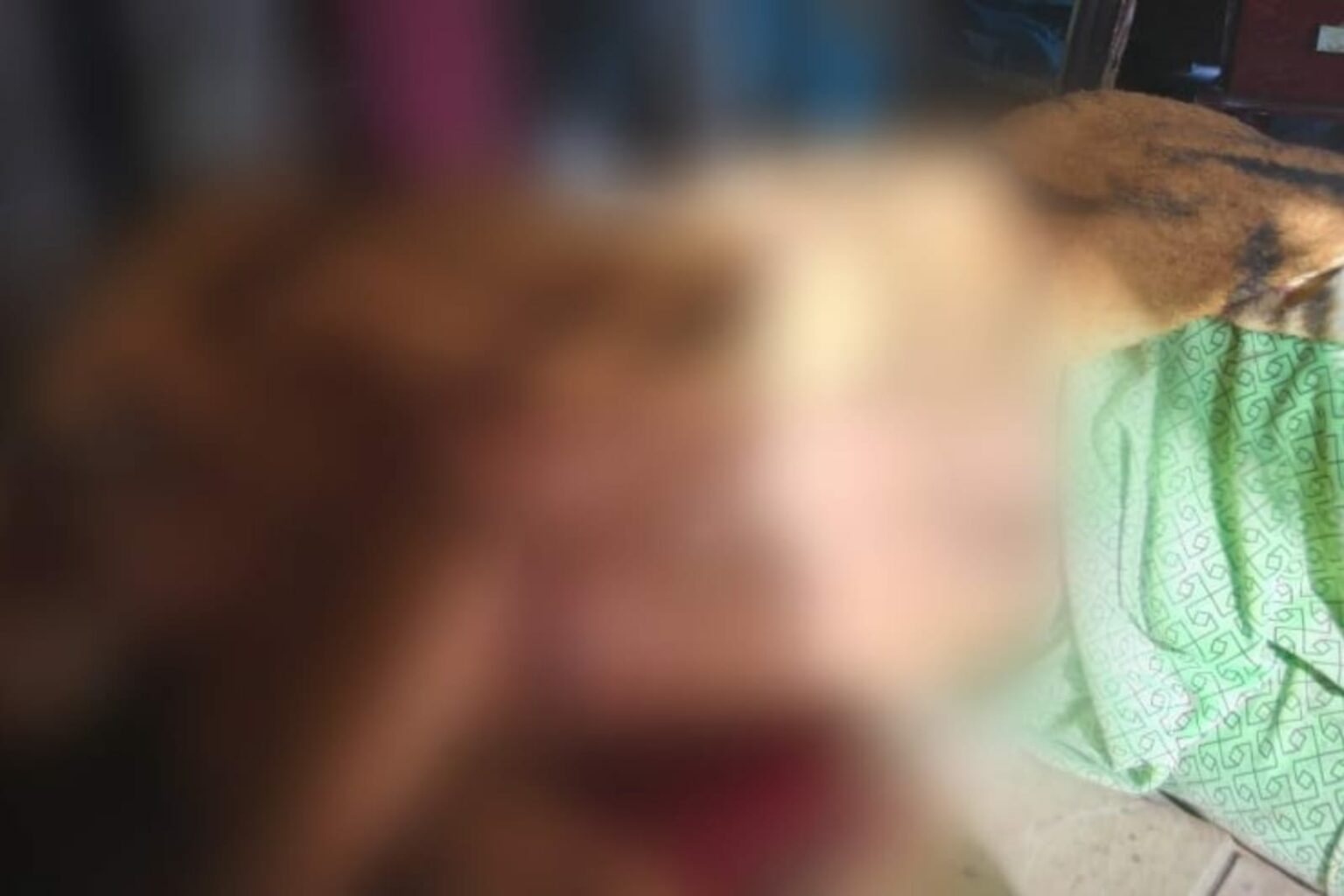 Homem é assassinado a tiros dentro de casa no Marajó