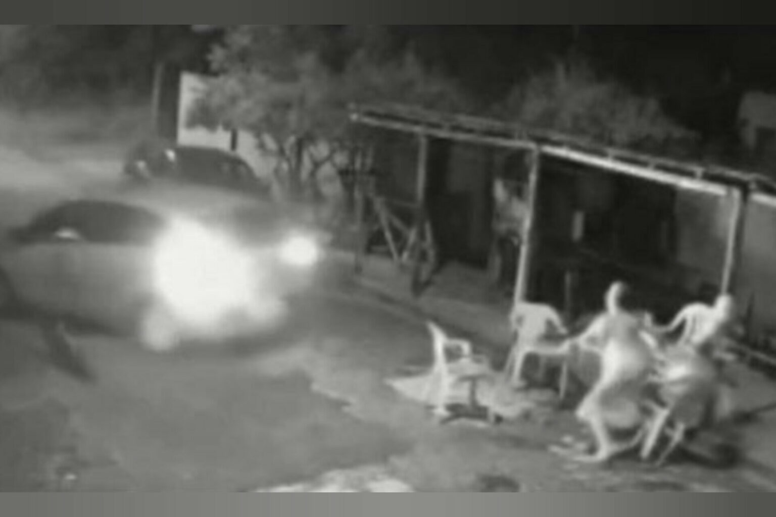 Motorista atropela vizinhas e alega ter confundido pedais do carro no Pará