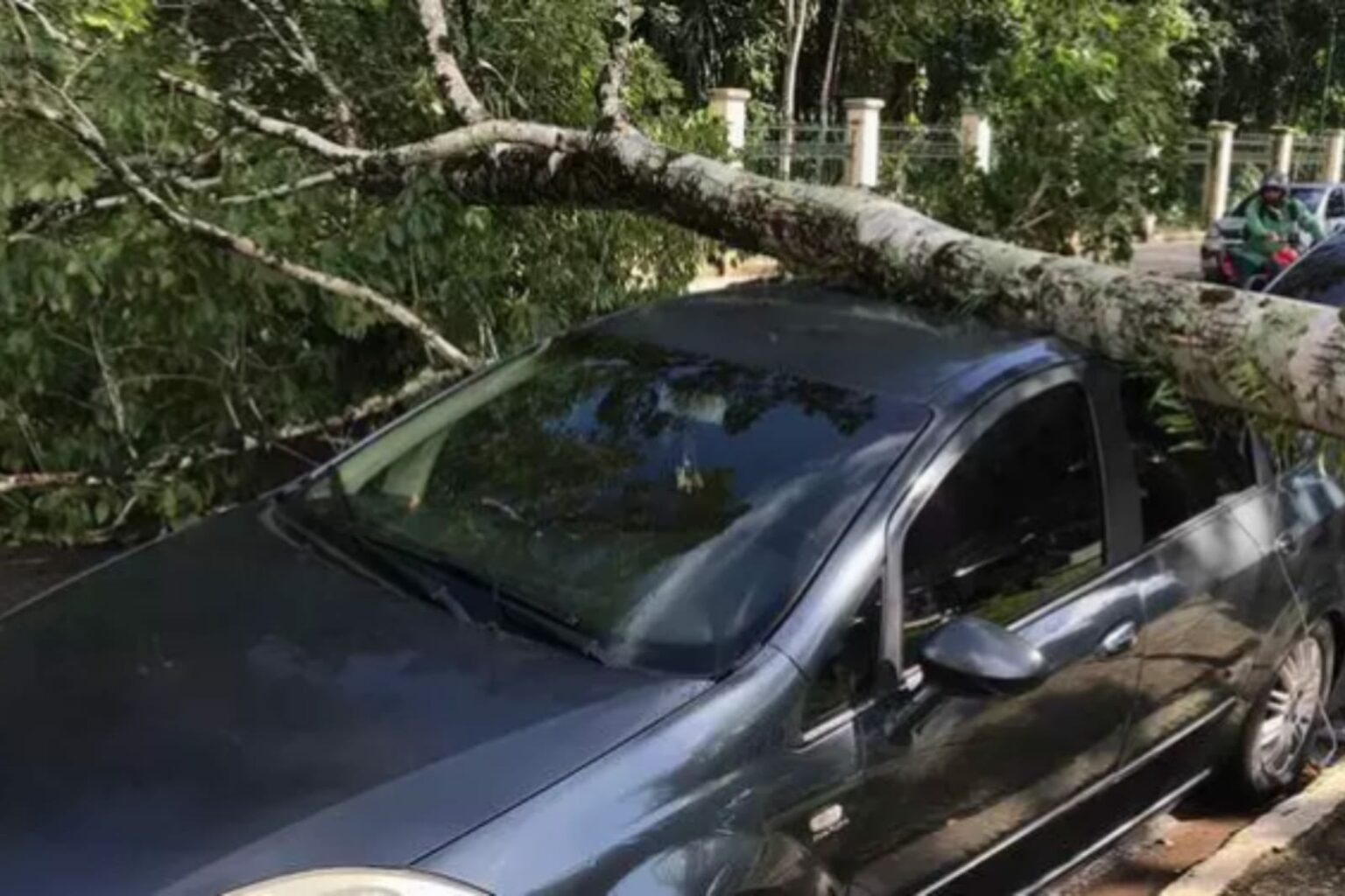 Árvore cai e atinge veículo no Pará
