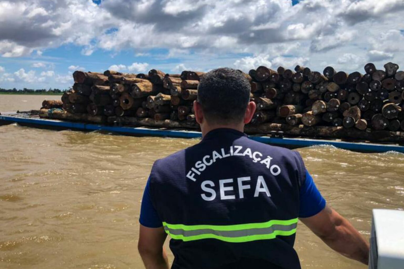 Sefa apreende 126,6 m³ de madeira em tora em Óbidos