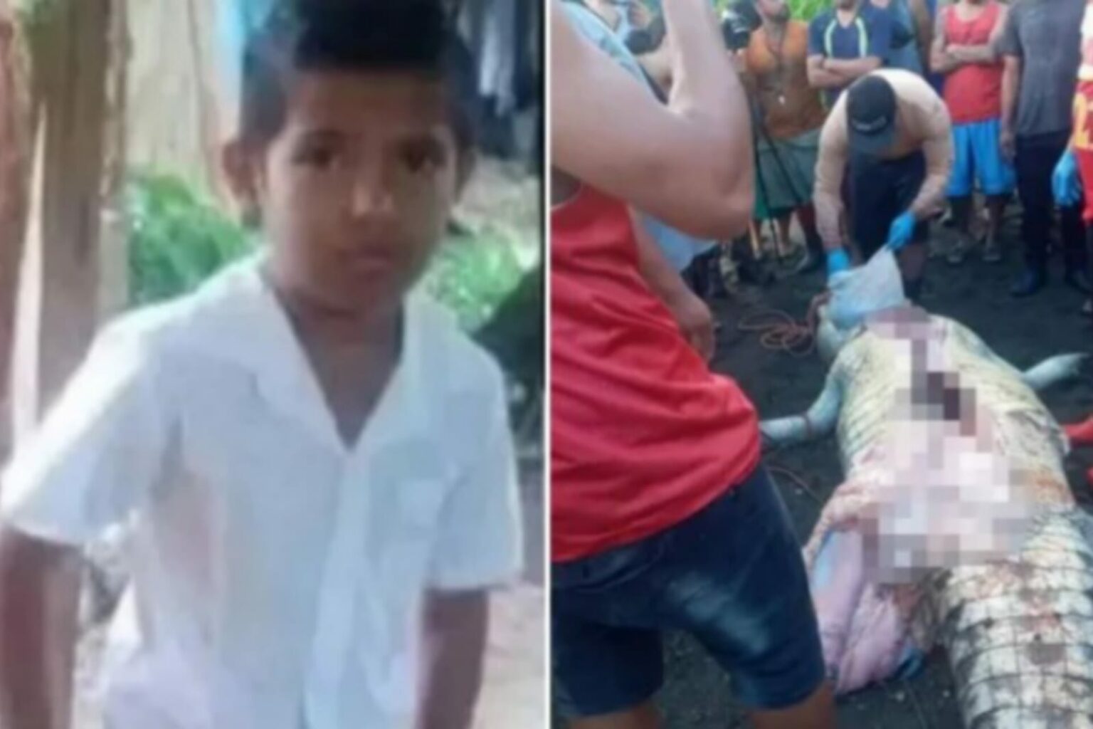 Crocodilo mata e engole menino de 8 anos na frente dos pais