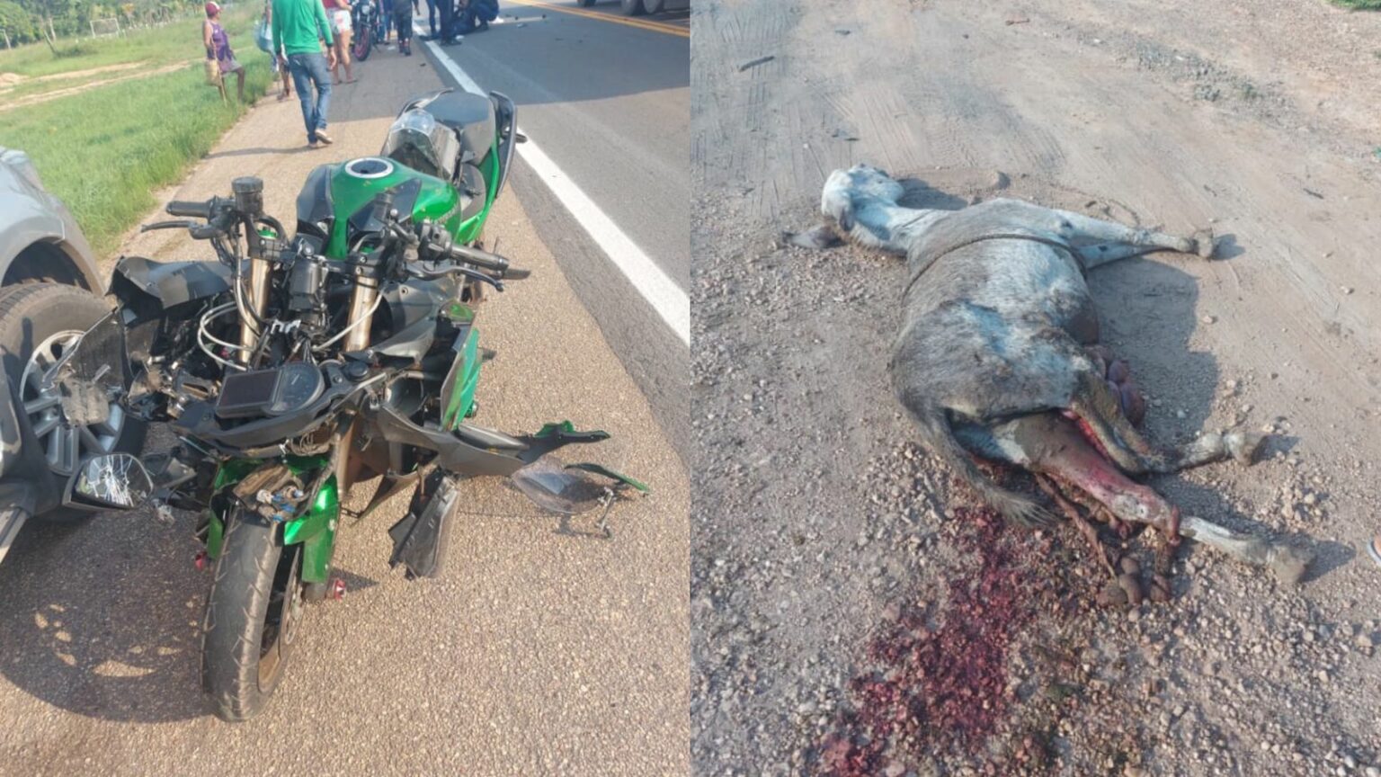 Vídeo: motos colidem contra jumento durante suposto racha na BR-230
