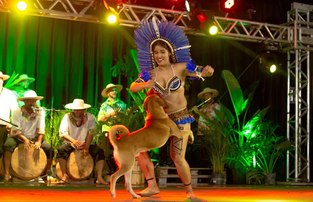 Cachorro caramelo invade palco durante apresentação de dança em Parauapebas