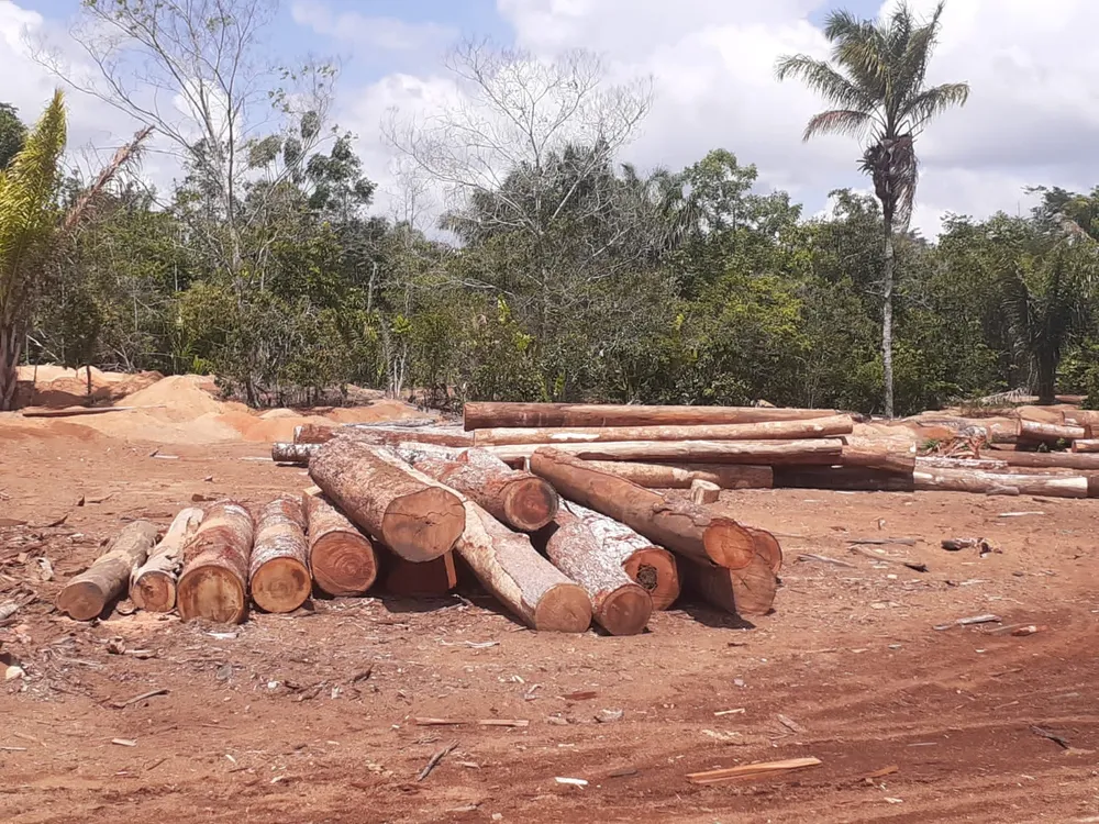 Proprietários de serrarias clandestinas são autuados por crime ambiental no Pará