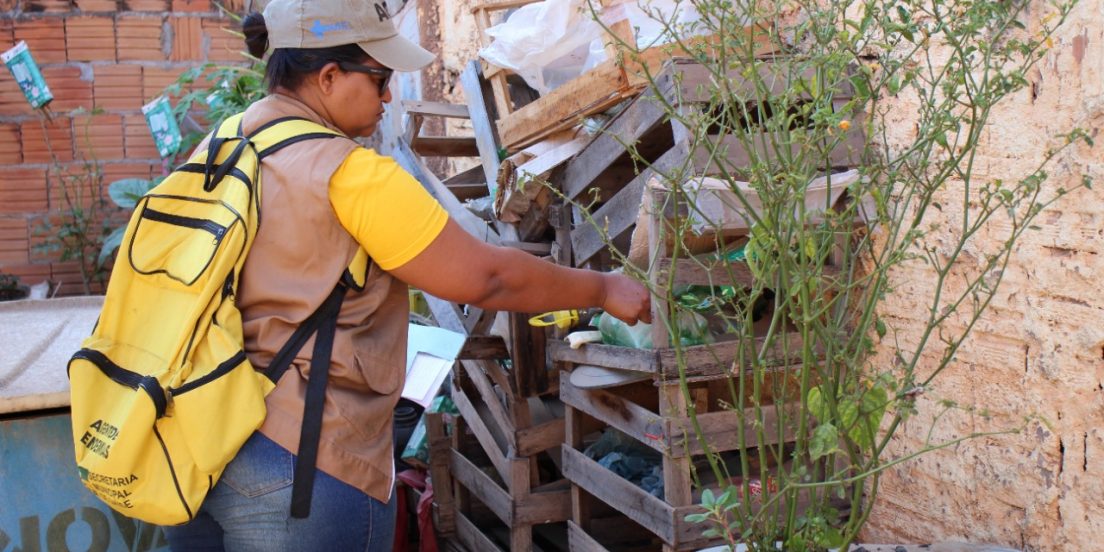 Marabá registra mais de 60 casos de dengue em 2022