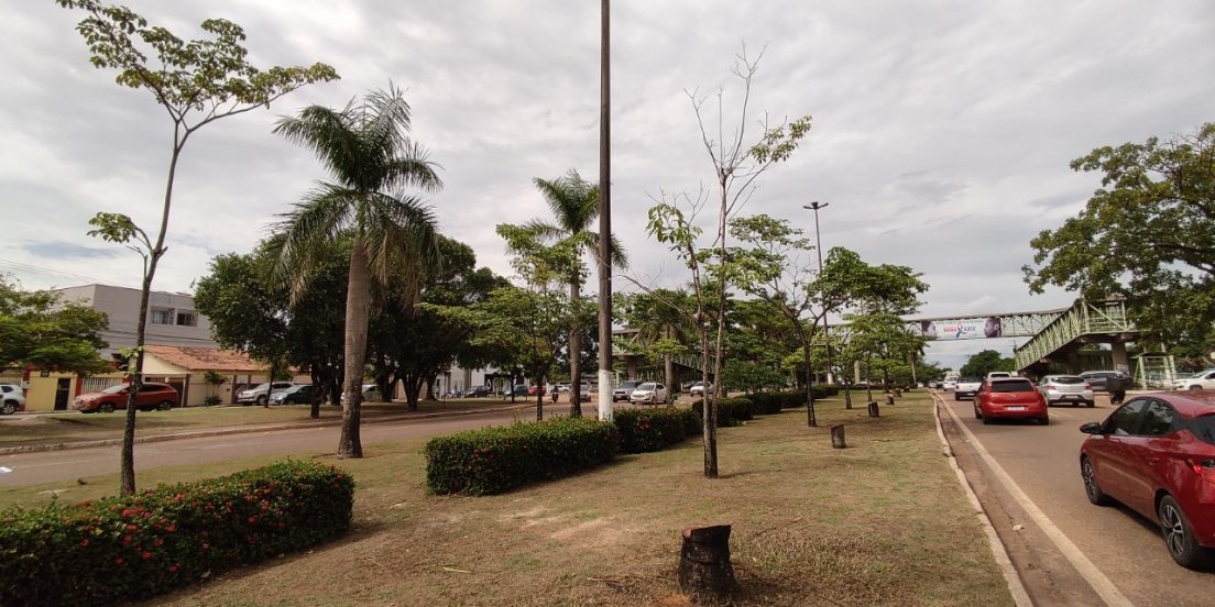 DNIT remove mais de 50 árvores para ampliar BR-230 em Marabá