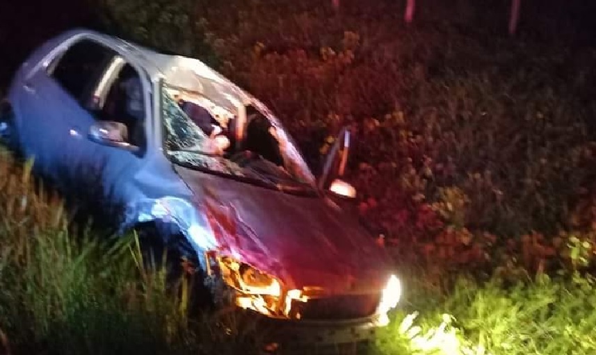 Cavalo na pista provoca grave acidente de trânsito no Pará