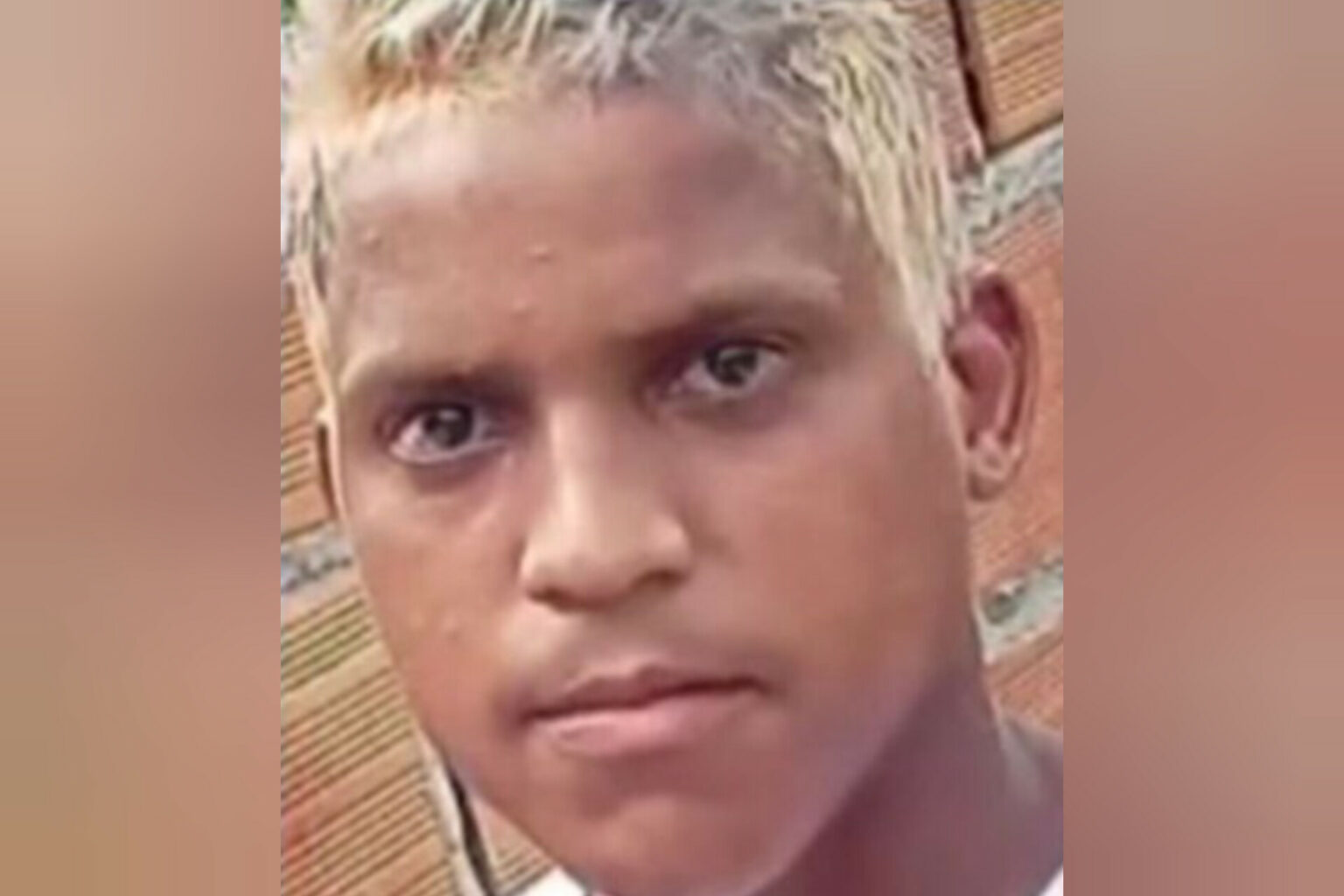 Jovem autista morre após ser atacado por pitbulls no interior do Pará
