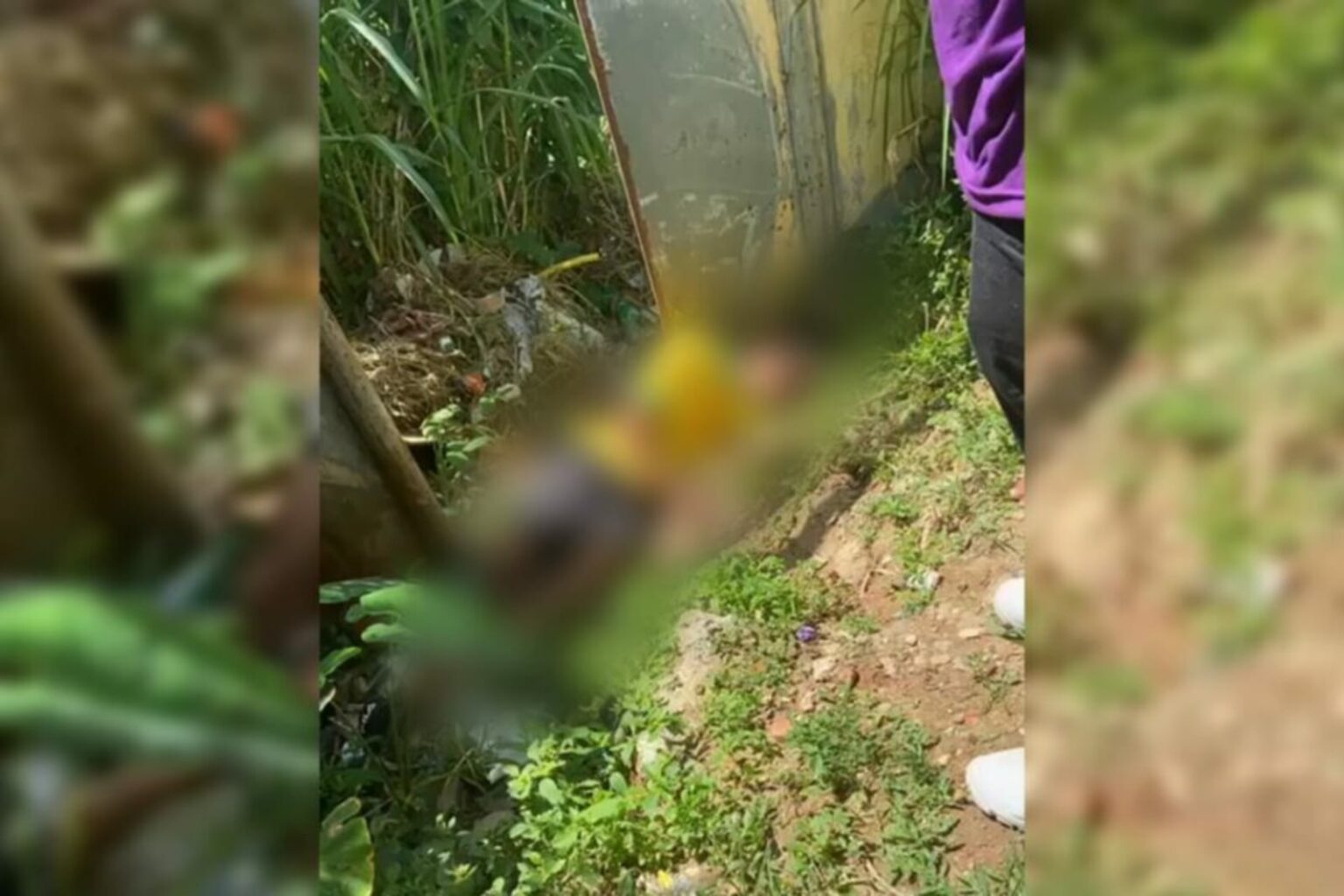 Jovem é assassinado com cinco tiros na cabeça no Pará