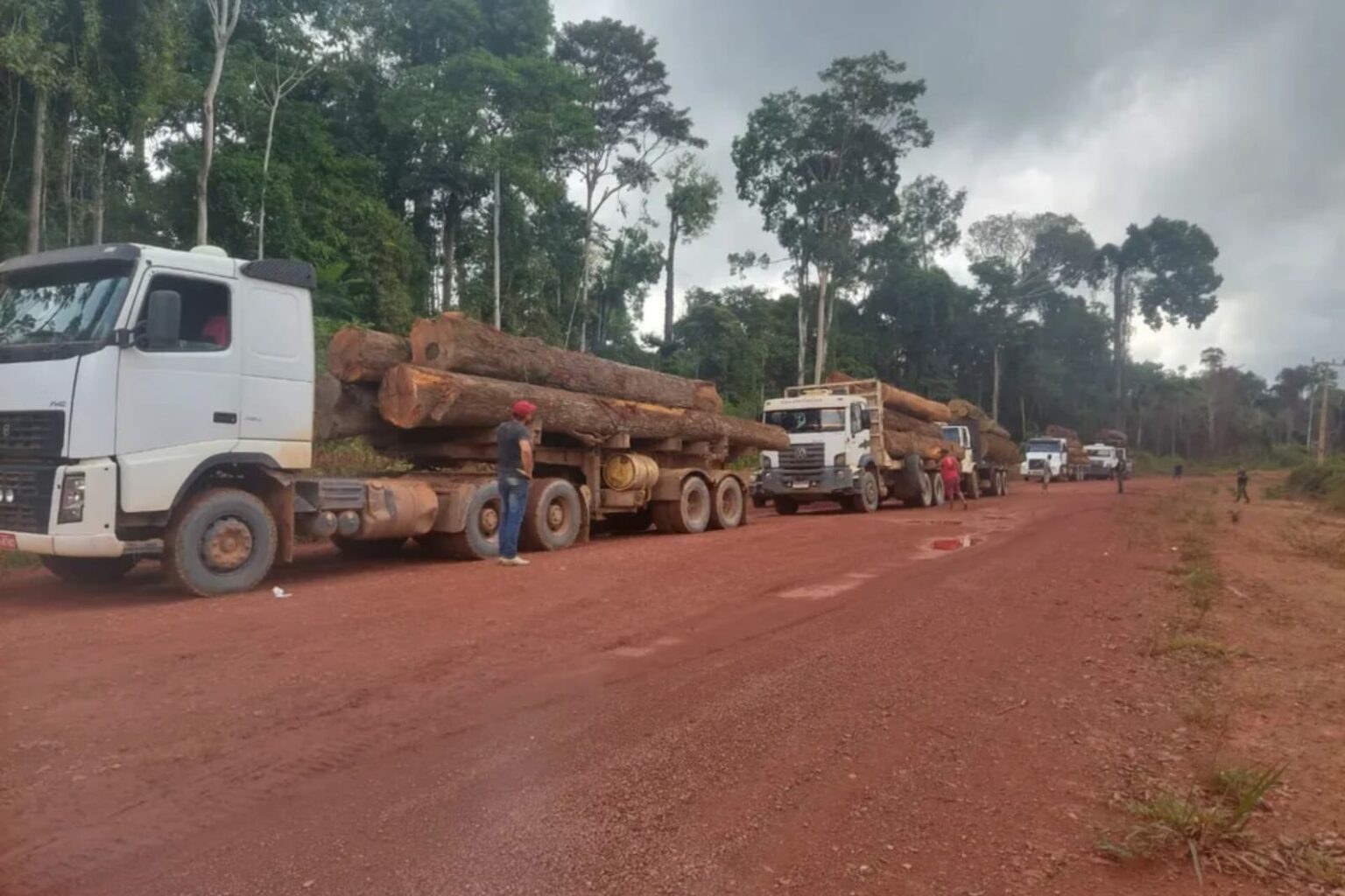 Cinco caminhões com 56 toras de madeira são apreendidos em Santarém