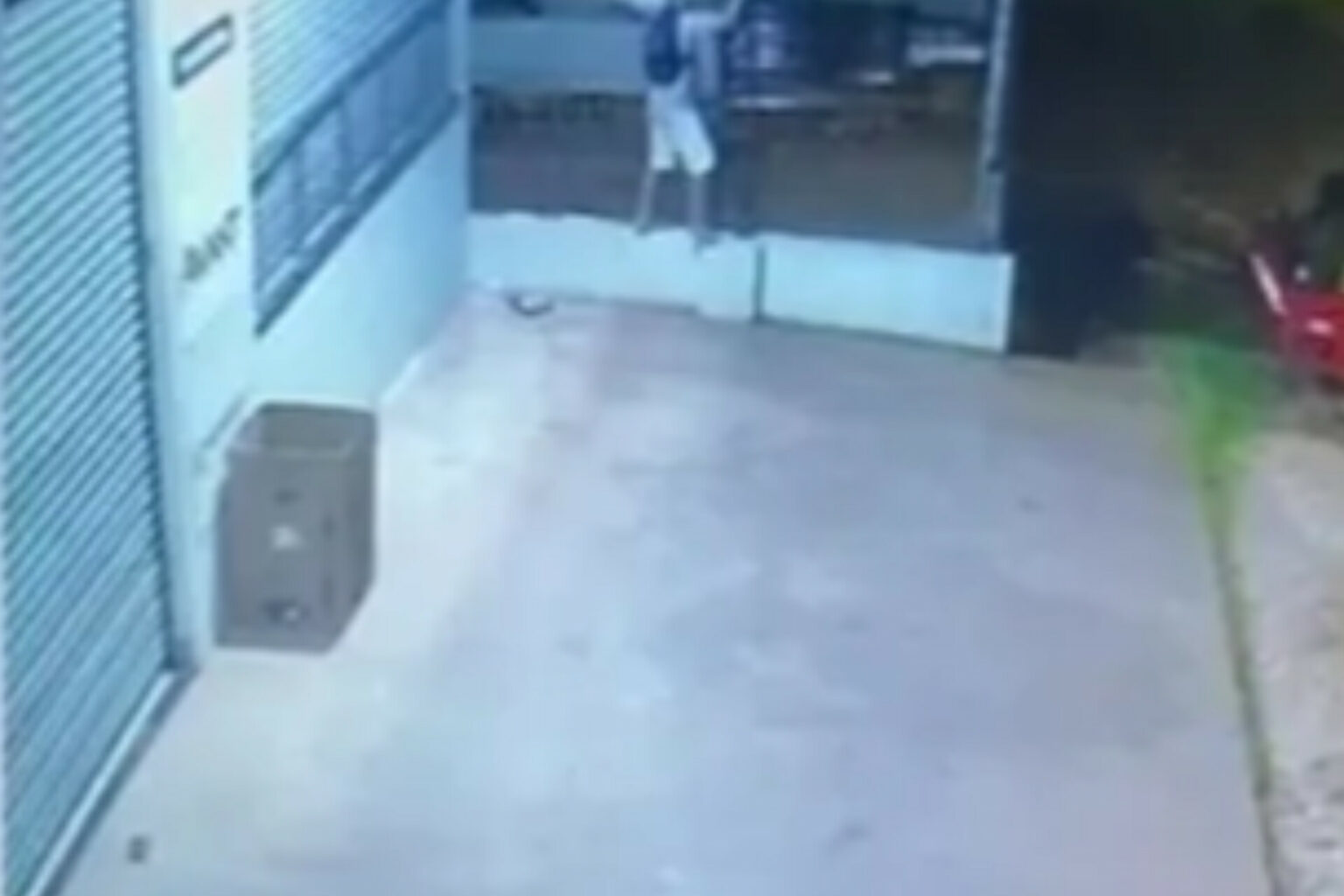 Homem tenta invadir loja de construção e é atacado por cachorros em Santarém
