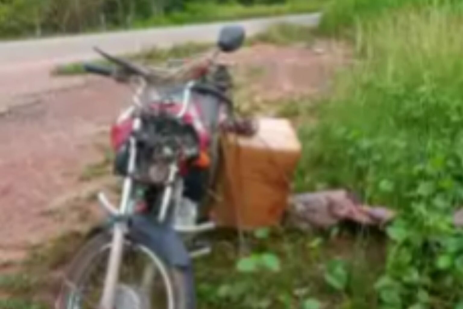 Motociclista morre e filho fica ferido após colisão de moto com cavalo na PA-150