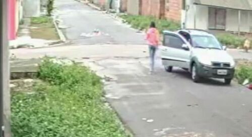 Mulher furta cão avaliado em R$ 3 mil no interior do Pará