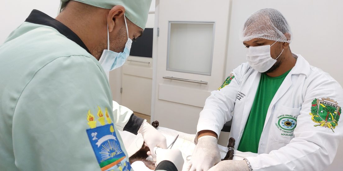 Centro de Zoonoses abre agendamento para castração de cães e gatos em Marabá