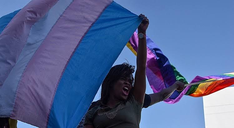 Pará é o estado mais violento da Região Norte para pessoas trans, aponta levantamento