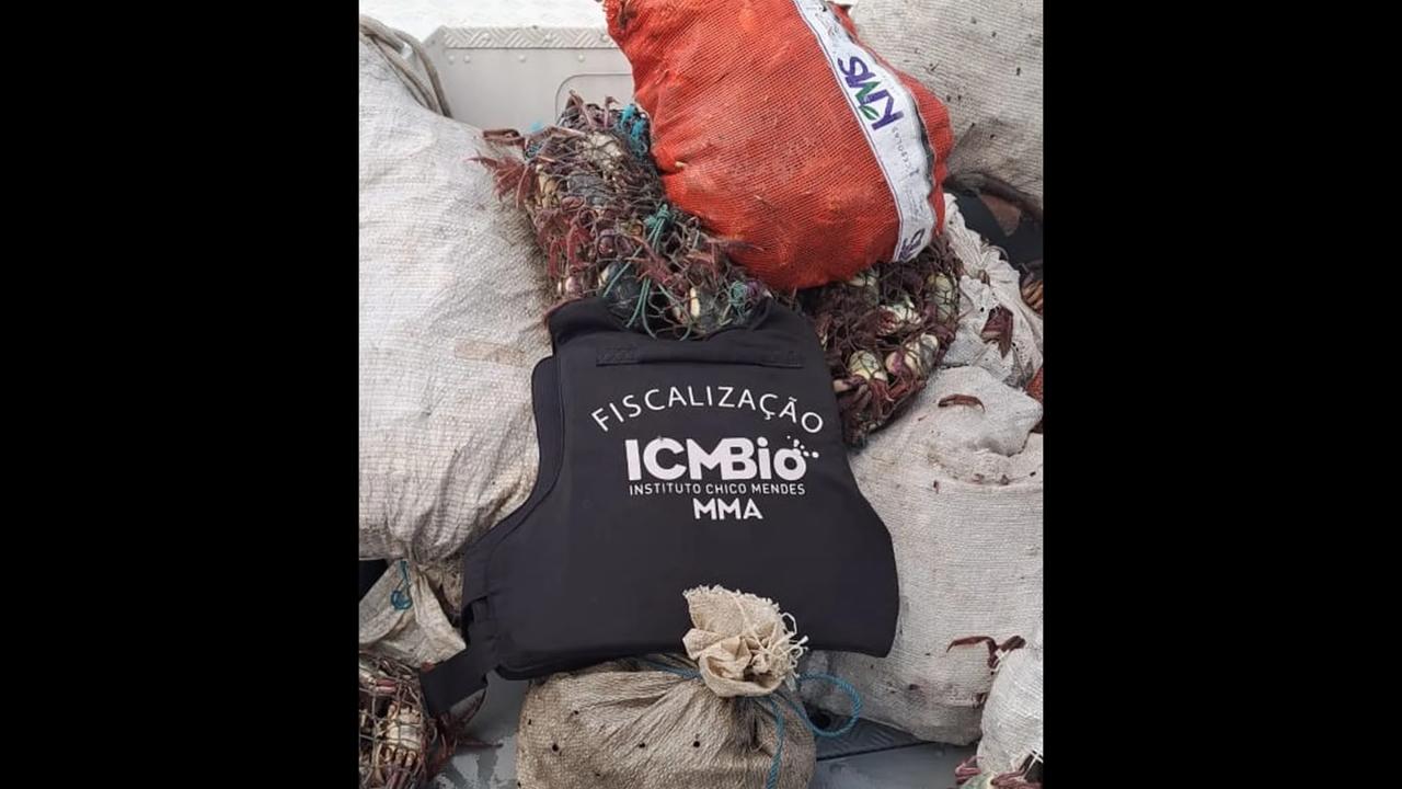 ICMBio apreende 4 mil caranguejos em reserva extrativista no Pará