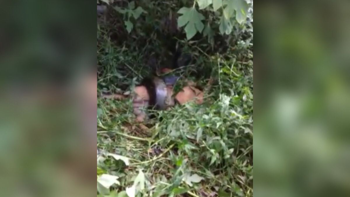 Imagens fortes: Sucuri mata cachorro em Parauapebas