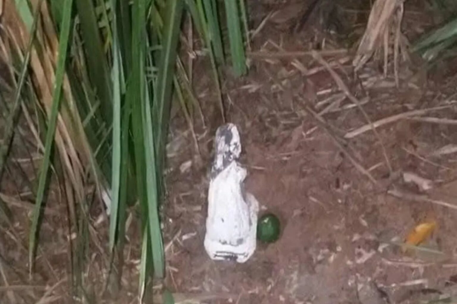 Tio é preso após entregar sobrinha de 13 anos para ser estuprada em ritual religioso
