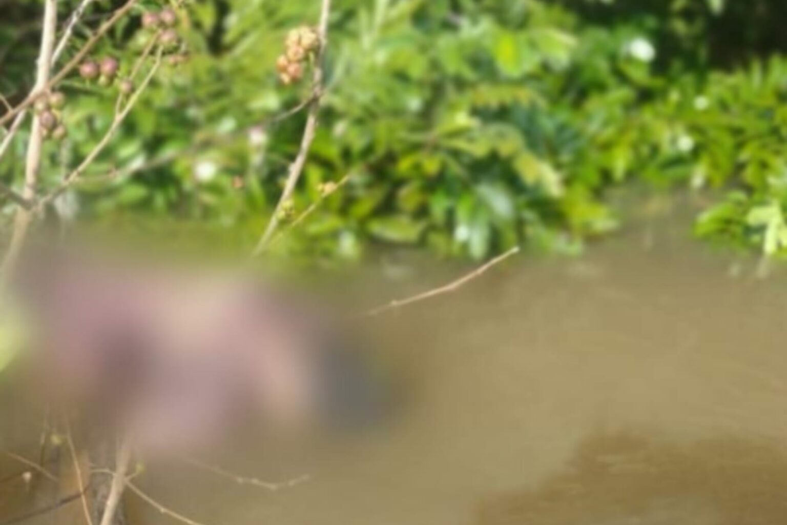 Corpo de homem é encontrado por moradores da “Coca-Cola” em Marabá