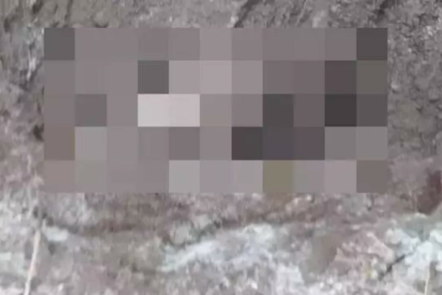 Corpo é encontrado em cova rasa no nordeste do Pará