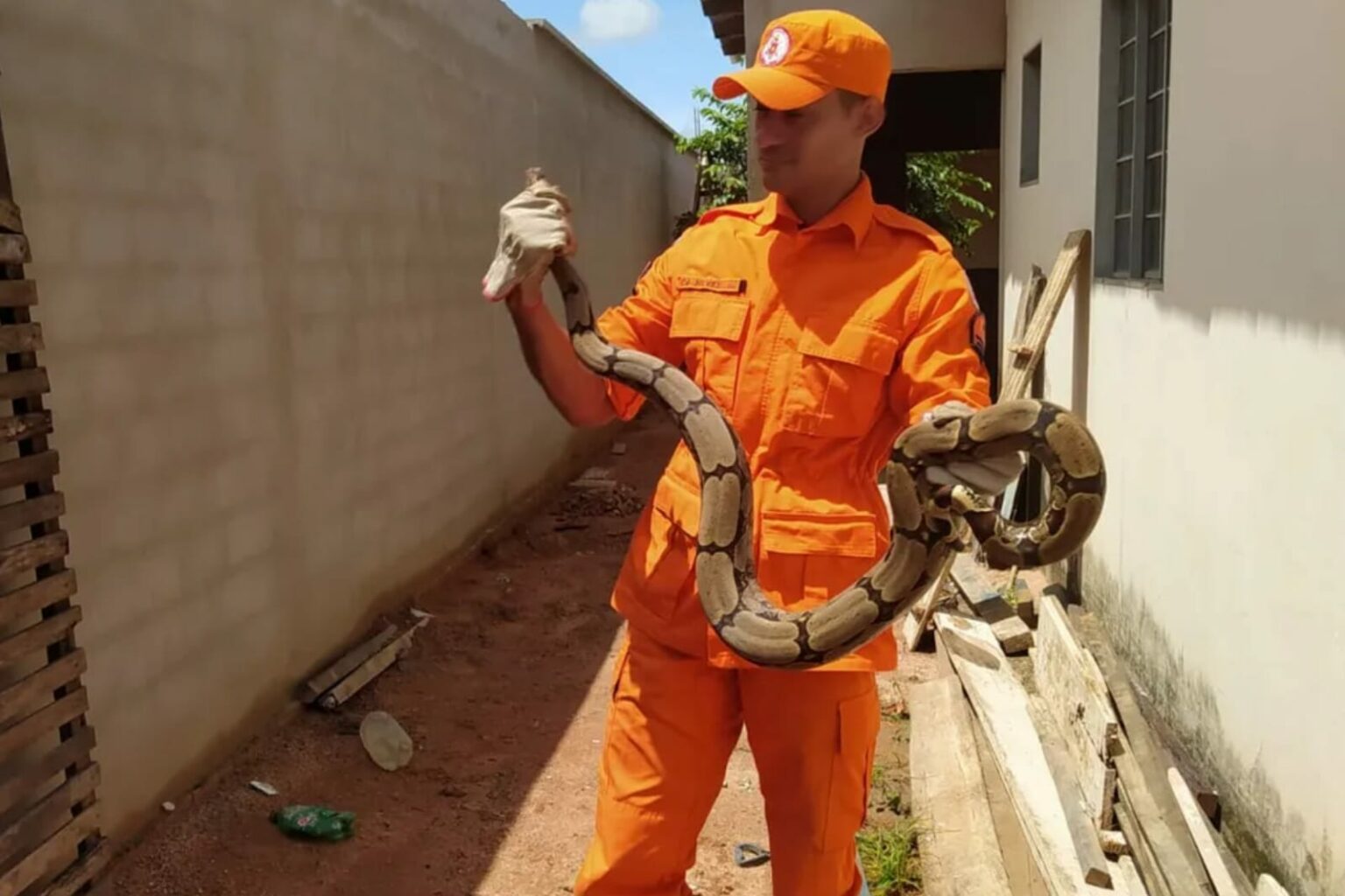 Cobra com cerca de um metro e meio é encontrada dentro de casa