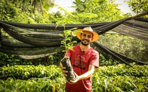 Banpará-Bio já investiu mais de 17 milhões em atividades produtivas sustentáveis no estado