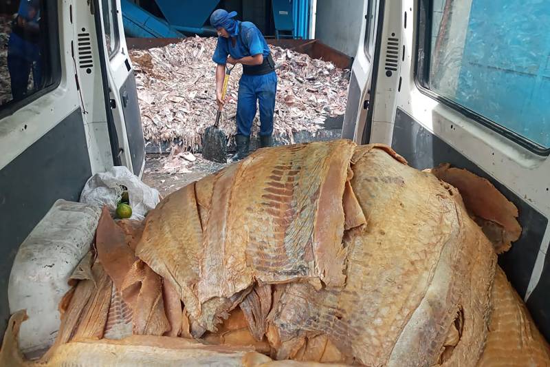 Adepará apreende mais de 120 mil quilos de produtos irregulares em 2022