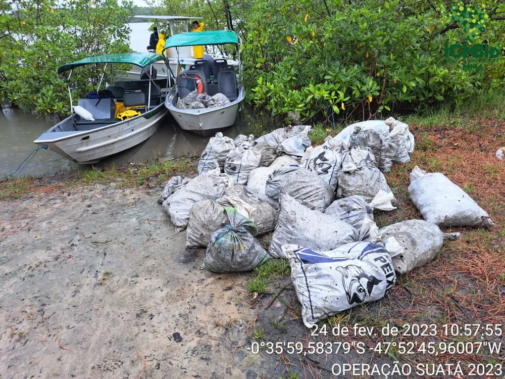 Operação apreende cerca de 6 mil caranguejos no Pará
