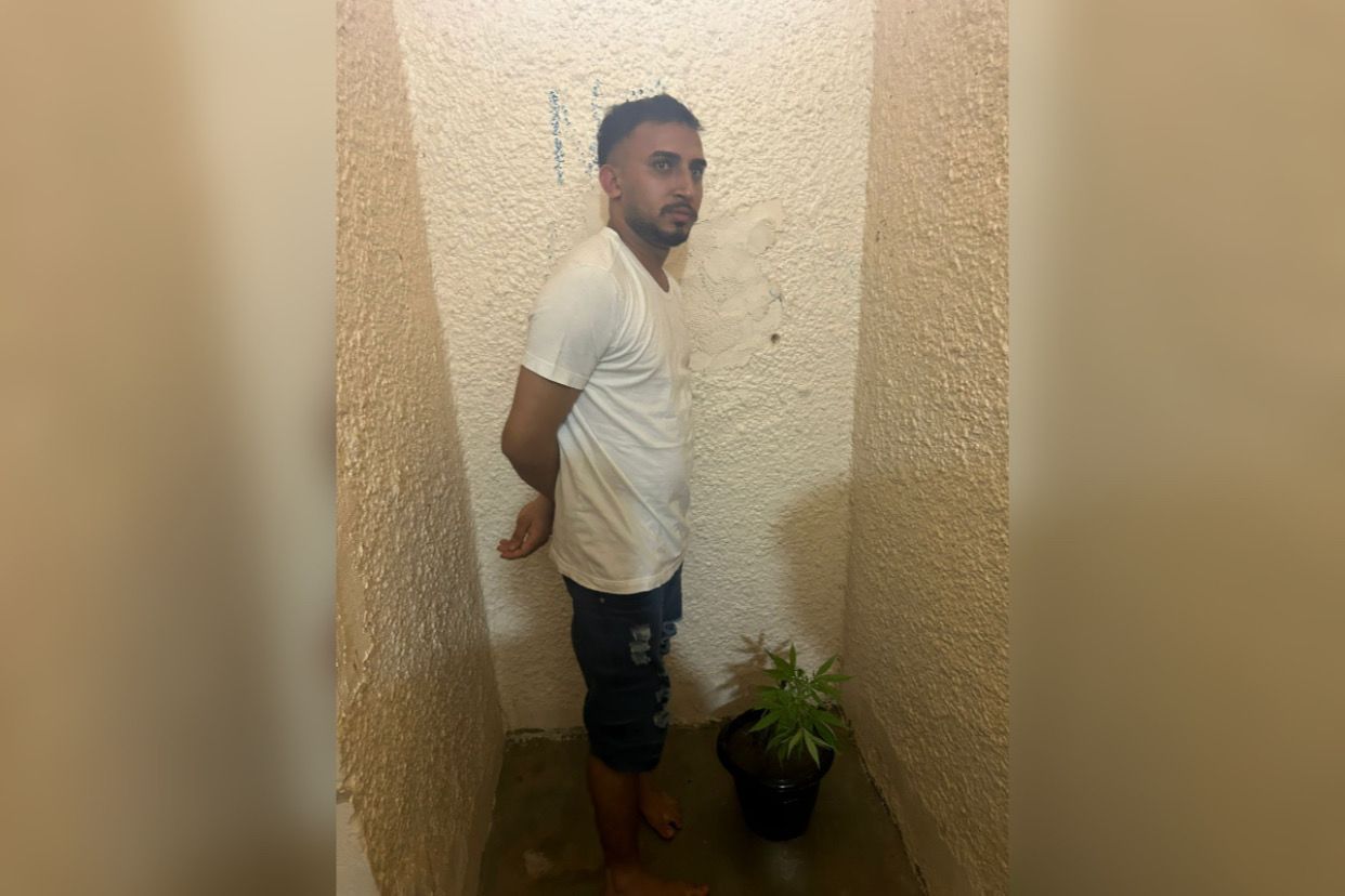 Jovem é preso em flagrante com pé de maconha em Itupiranga