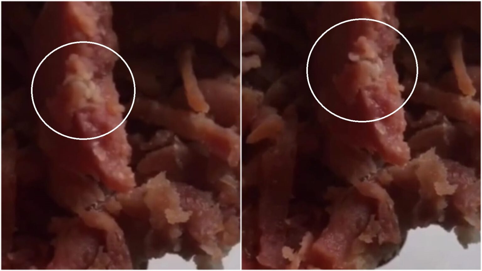 Vídeo: cliente encontra larva viva em lanche de padaria no Pará