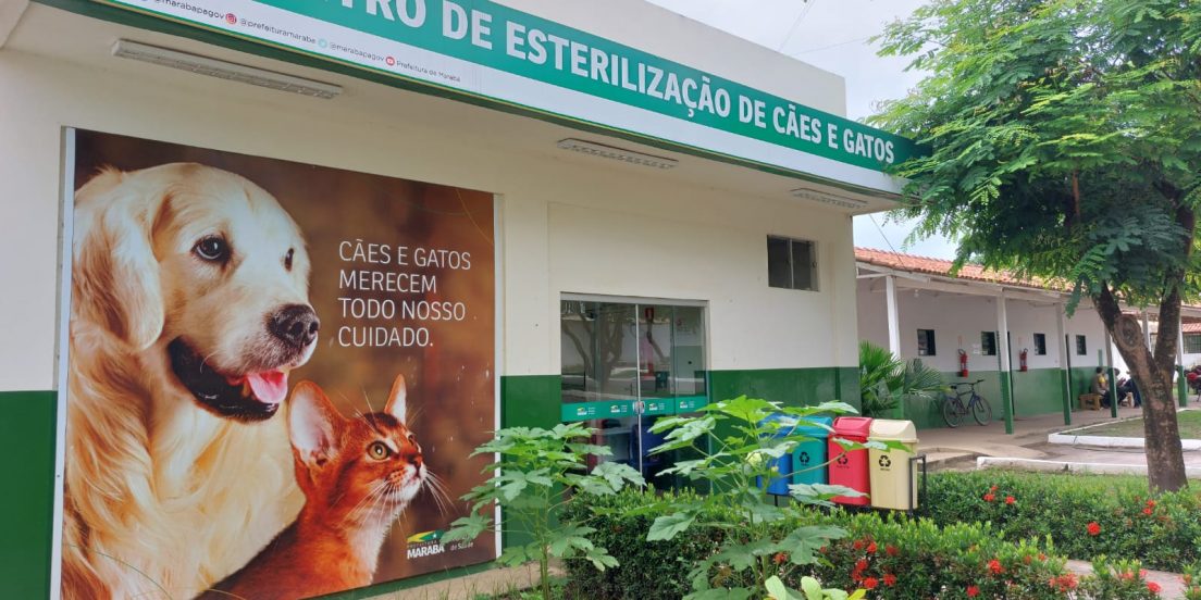 Centro de Zoonoses de Marabá tem 37 animais disponíveis para adoção
