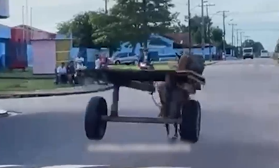 Vídeo: cavalo desgovernado quase causa acidente em via pública no Pará