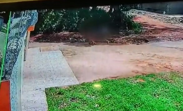 Adolescente é estuprada e suspeito amarra irmã da vítima em árvore no Pará