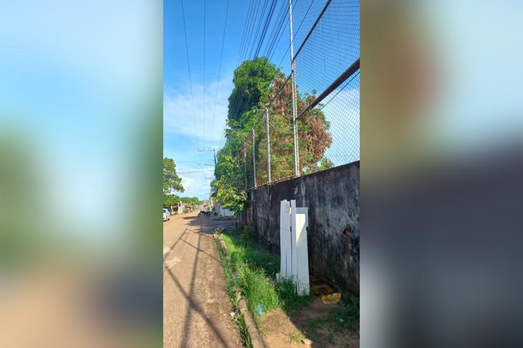 Equatorial Pará realiza quase 14 mil podas preventivas na região em 2022
