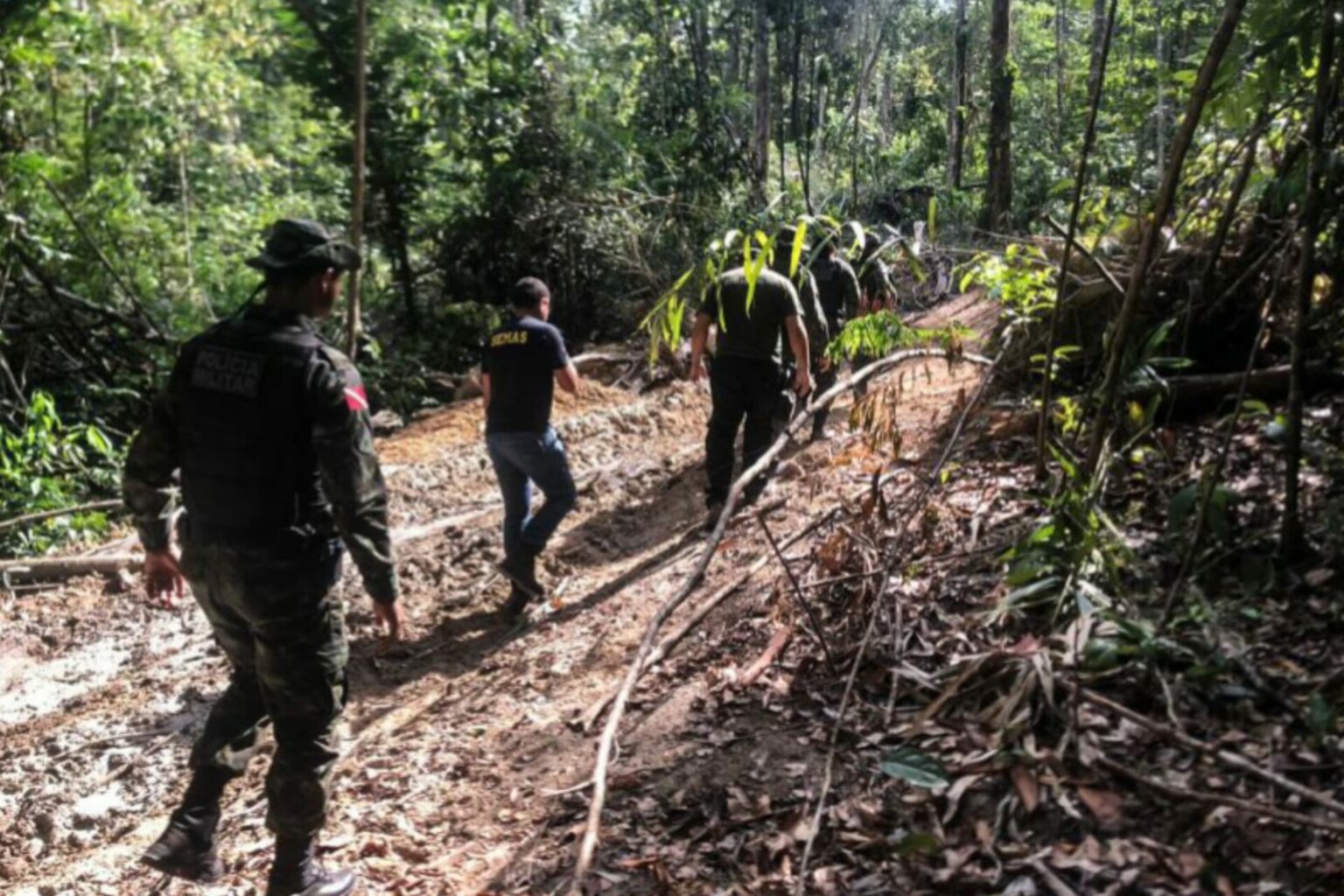 Helder Barbalho declara emergência ambiental em 15 cidades do Pará