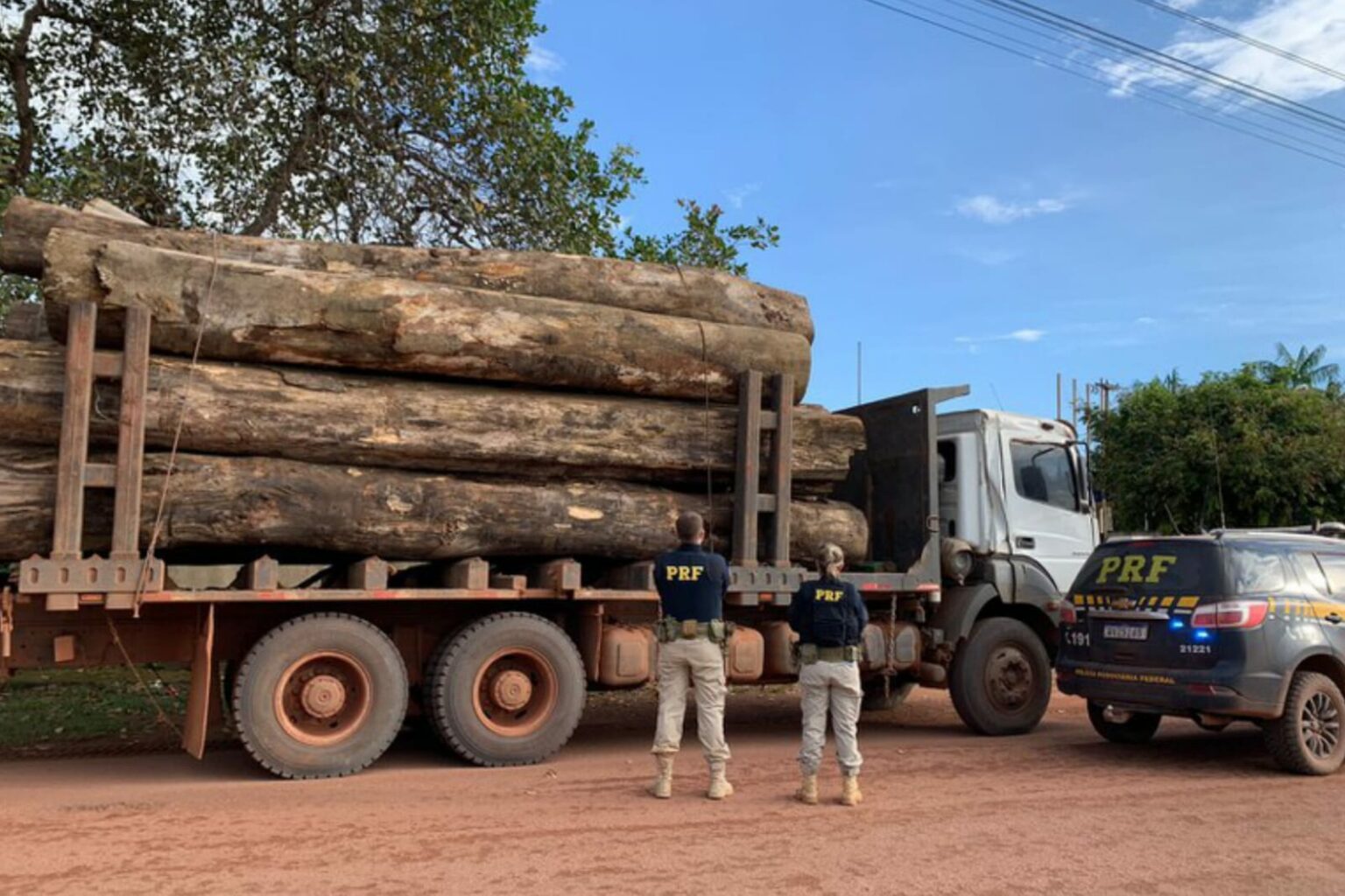 PRF apreende 30 m³ de madeira ilegal em Rurópolis