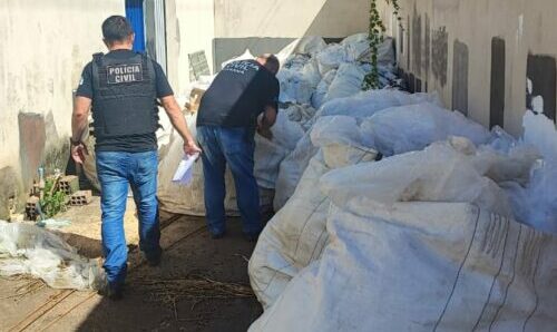 Polícia Civil apreende 100 toneladas de fertilizantes adulterados