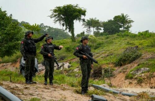 Polícia Militar atua em ações integradas de combate ao desmatamento no Pará