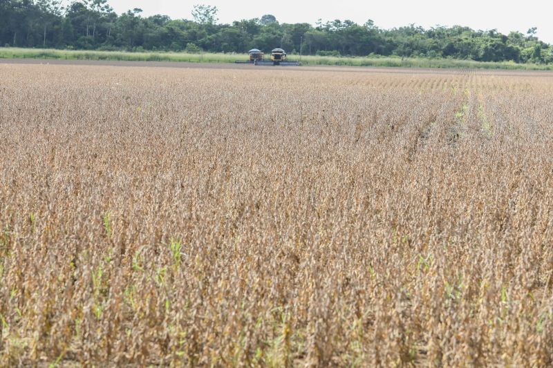 Adepará participa da Abertura Nacional da Colheita de Soja