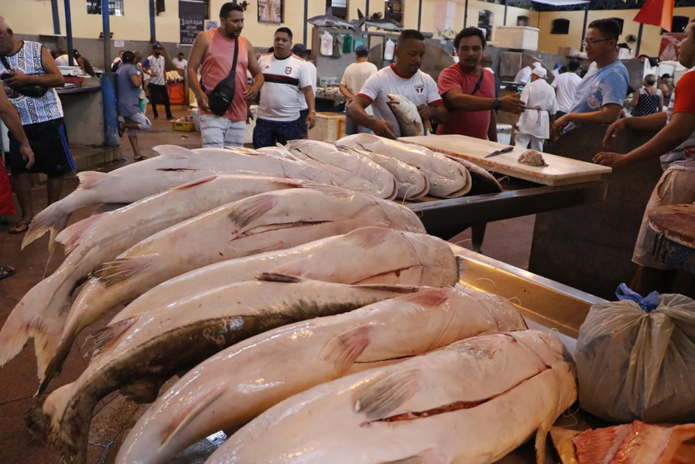Adepará inicia fiscalização para garantir o peixe na Semana Santa