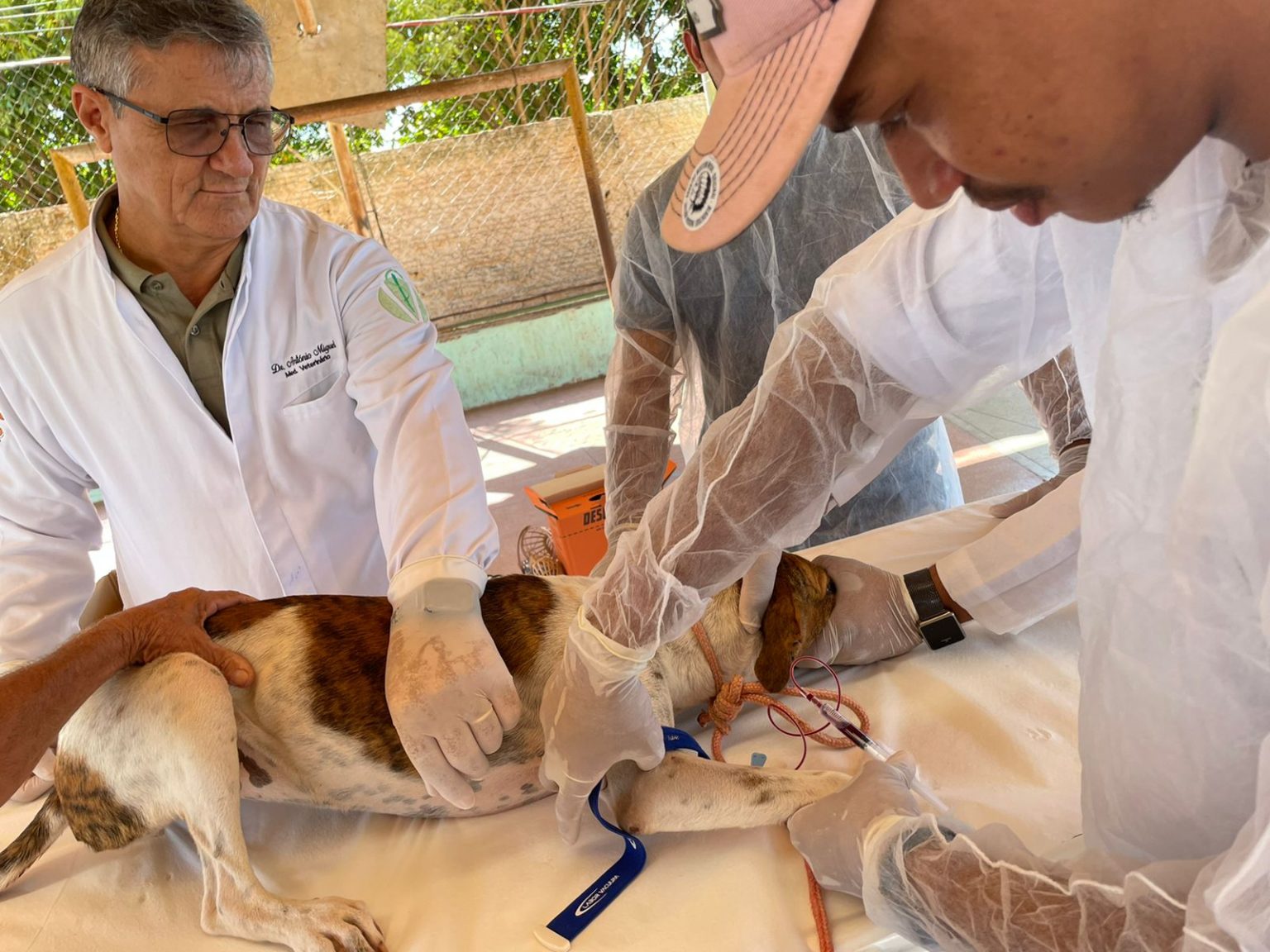 Unidade de Zoonoses realiza ação de combate a leishmaniose em Canaã dos Carajás