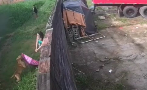 Mulher é atacada por pitbull e fica gravemente ferida no Pará