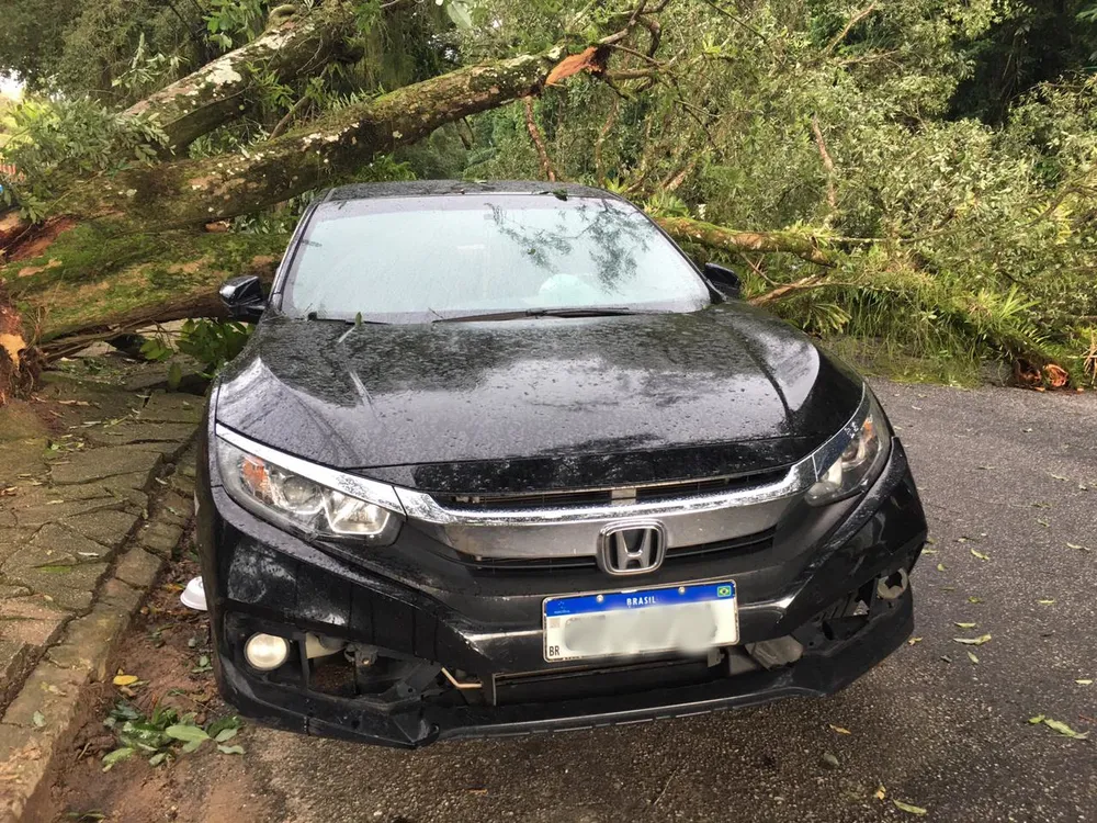 Árvore cai e quase atinge carro estacionado no Pará