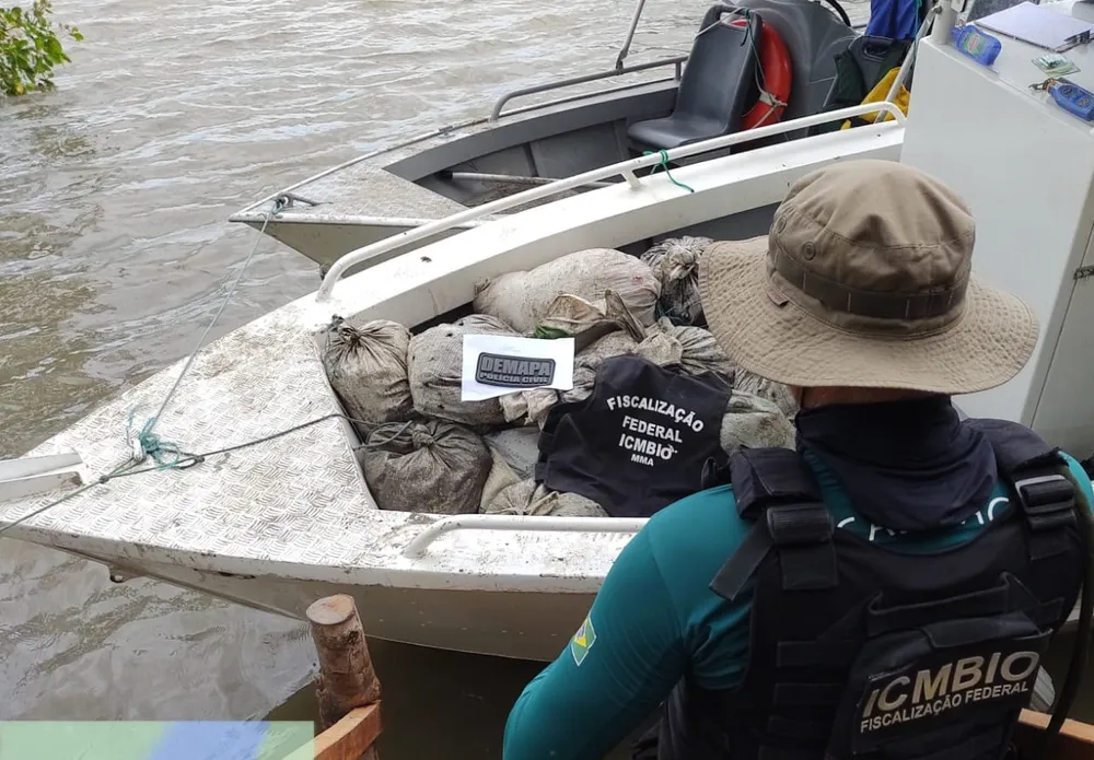 Mais de mil caranguejos são apreendidos no último período de defeso no Pará