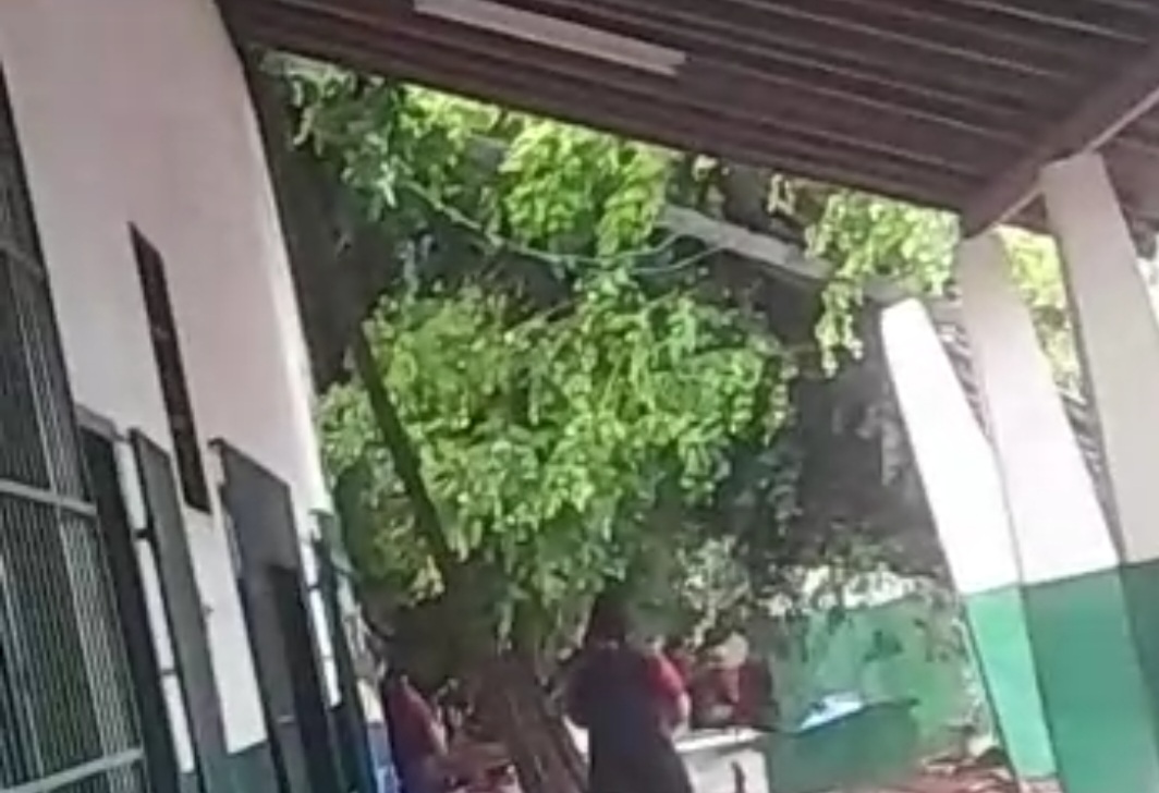Vento e chuva derrubam árvore em telhado de escola pública em Marabá.