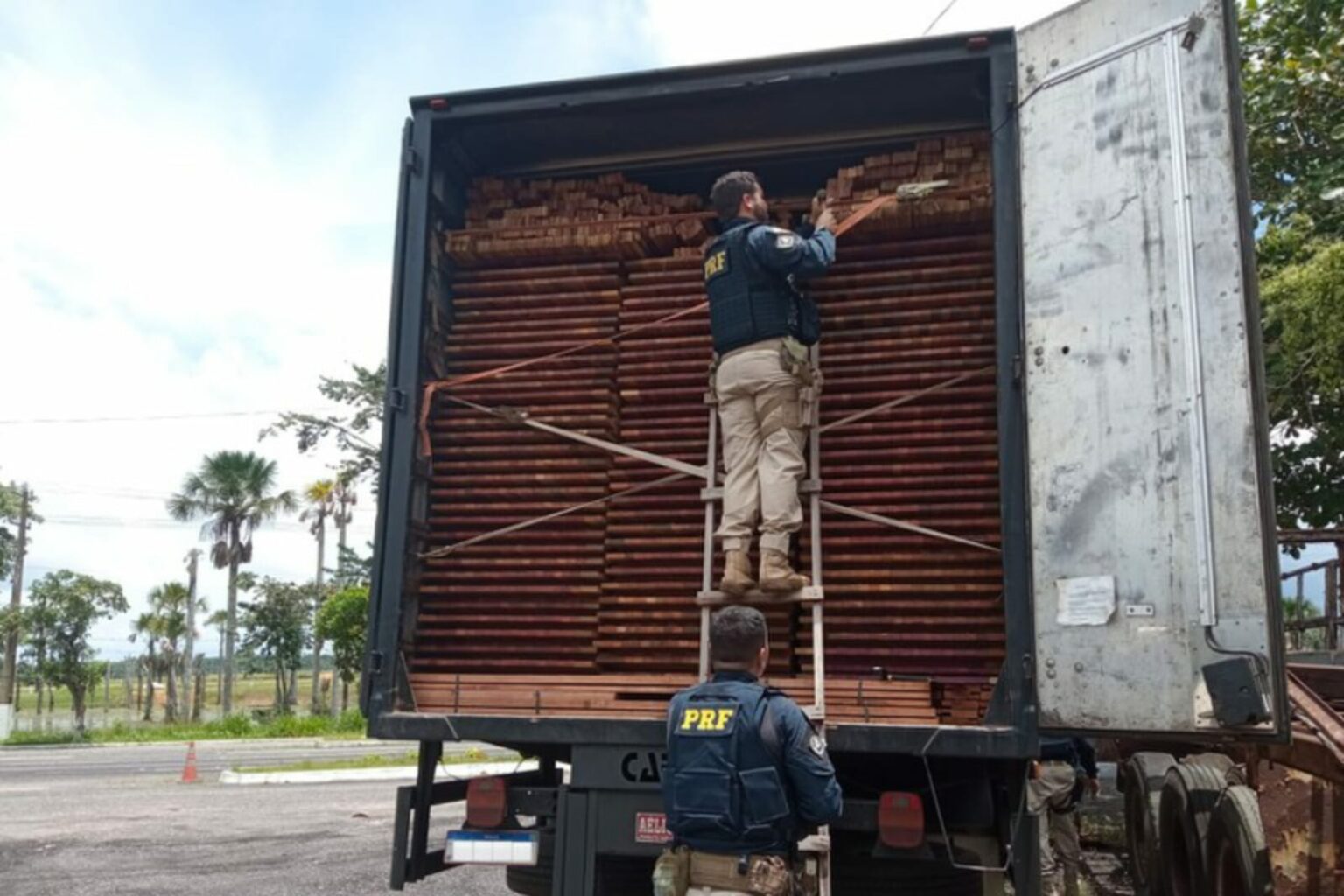 PRF apreende 37 m³ de madeira ilegal em Capanema