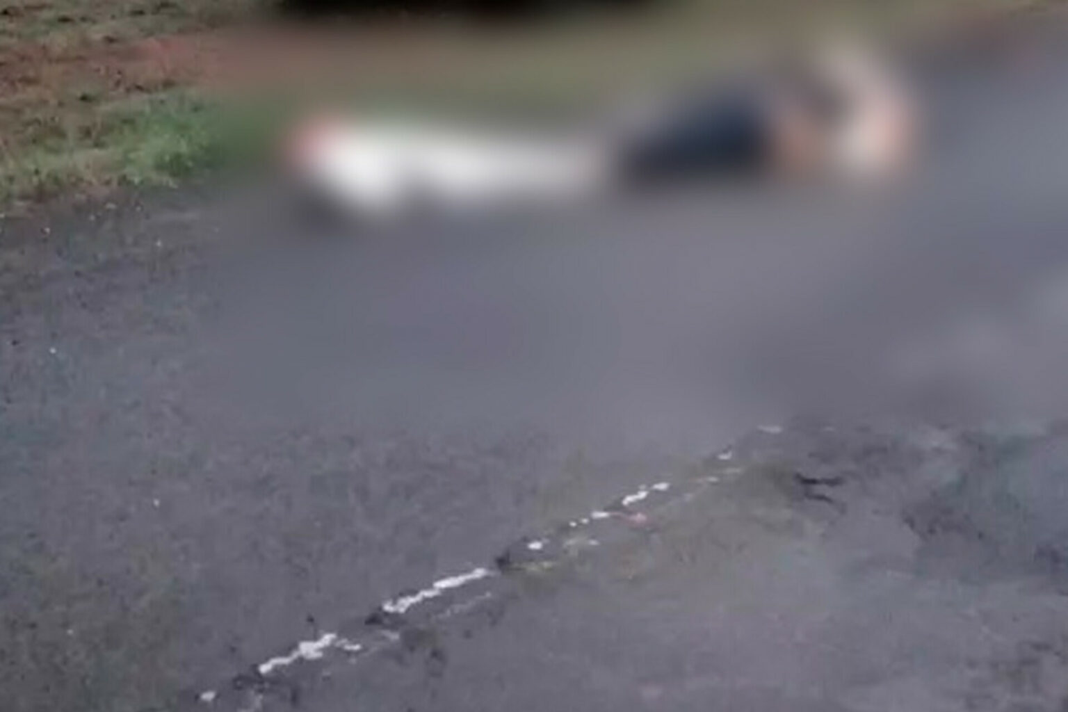 Motociclista morre ao colidir com vaca no interior do Pará